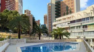 Apartment on Calle Alcalde Manuel Catalan Ch photo 3