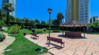 Apartment on President Adolfo Suarez Street photo 28