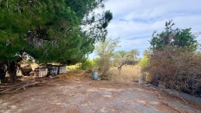 Casa – Elx - Elche - Vista 5
