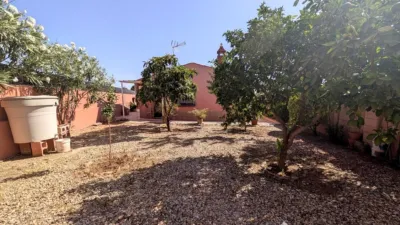 Rustic finca on Calle Diseminado Huertos San Roque photo 30