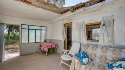 Rustic finca on Marina Street photo 6