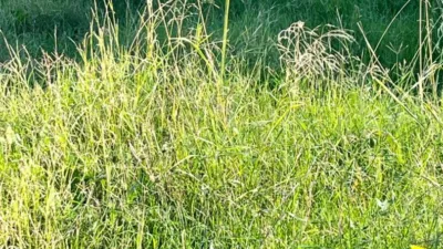 Terreno en venta en Partida Altabix - Vista 4