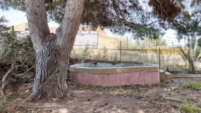 Rustic finca on Marina Street photo 13