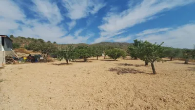 Rustic farm on Calle Solana La photo 63
