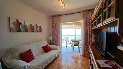 Pis – Elx - Elche - Vista 4