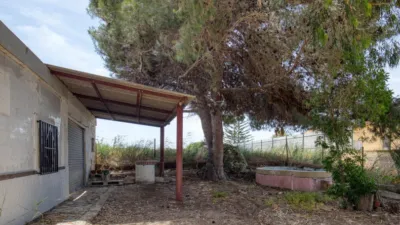 Rustic finca on Marina Street photo 3