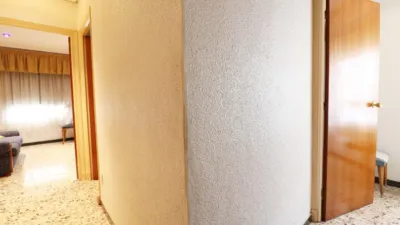 Pis – Elx / Elche, Sector V, el Baix Vinalopó - Més