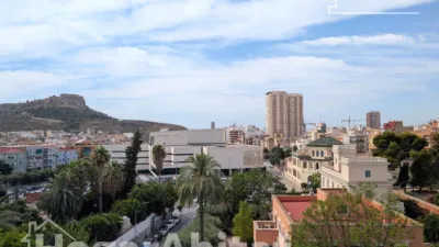 Penthouse on Primitivo Pérez Street photo 12