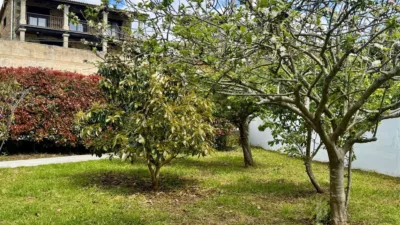 Chalet on Calle Montalvo-Noalla photo 11