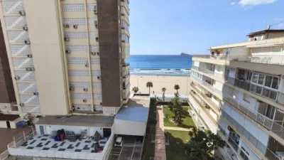 Pis – Benidorm - Vista 3