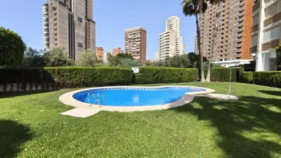 Apartment in Levante photo 32