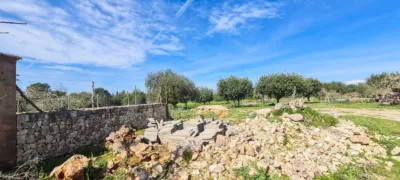 Rustic finca in Sineu photo 24