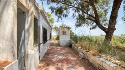 Rustic finca on Marina Street photo 5