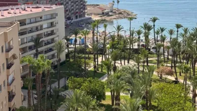 Piso – Torrevieja - Vista 3