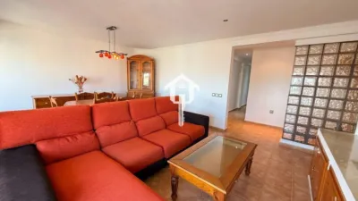 Apartment in Plaza del Sol photo 11