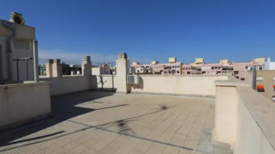 Apartment in Carrús Este photo 61