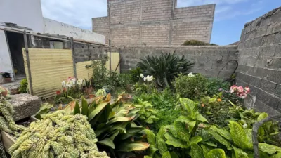 Apartment in San Jose, Tenerife photo 29