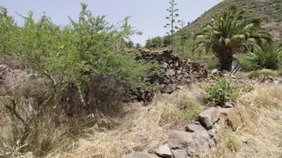 Rustic Finca in Vegaipala photo 8