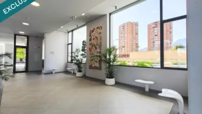 Apartment in Platja de Ponent photo 25