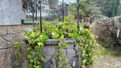 Casa – Valdoviño, Lavacerido - Vista 3