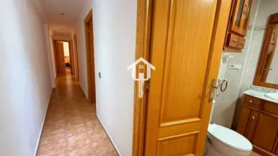 Apartment in Plaza del Sol photo 15