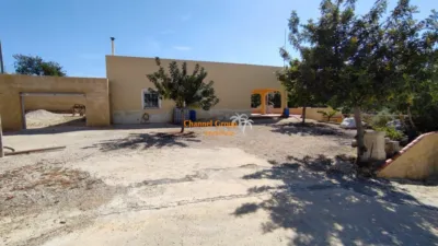 Casa – Crevillent, Polígono Industrial Catxapets, el Baix Vinalopó - Vista 5