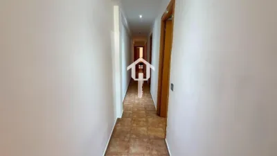 Apartment in Plaza del Sol photo 14