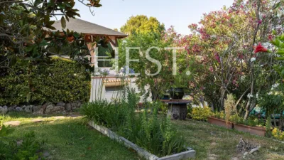 Chalet in Montemar photo 45
