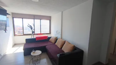 Apartment in Ciudad Elegida photo 7