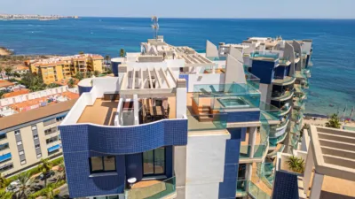 Penthouse in Punta Prima photo 51