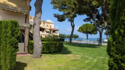 Penthouse in Les Cases Dalcanar photo 65