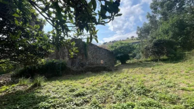 Rustic property in Barrio del Molinillo, 11 photo 15