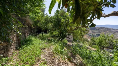 House at Calle Poligono No 8 Parcela 460 Granada Lanjaron photo 45