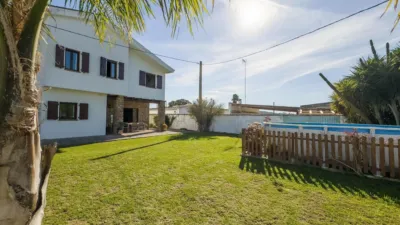 Chalet in Los Naveros photo 21