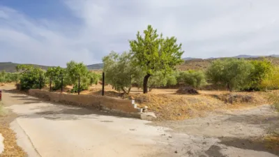 Rustic finca on Abrucena Street photo 24