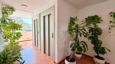 Apartment on Avd. Carlos III photo 4