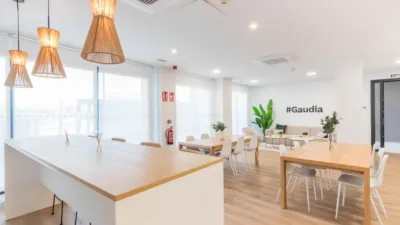Apartment in Juan Carlos I photo 37