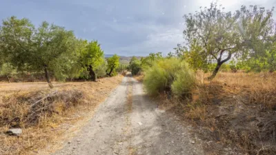 Rustic finca on Abrucena Street photo 36