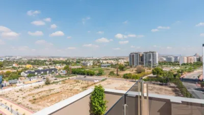 Apartment in Juan Carlos I photo 39