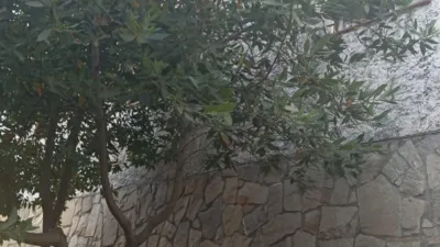 Chalet in Can Palet photo 6