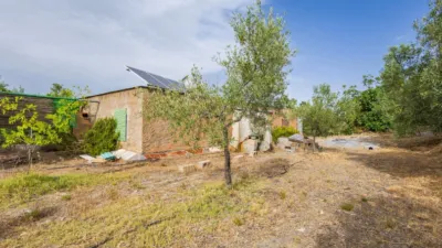 Rustic finca on Abrucena Street photo 17