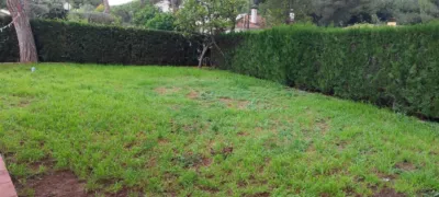Chalet in Oromana photo 3