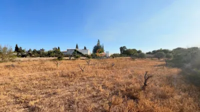 Terreno en venta en Sol y Luz - Vista 3