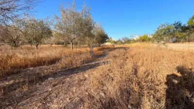 Terreno en venta en Sol y Luz - Vista 4