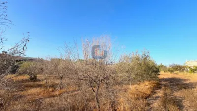 Terreno en venta en Sol y Luz - Vista 5