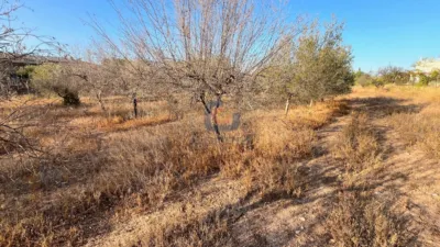 Terreno en venta en Sol y Luz - Más