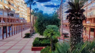 Apartment on Calle Deportista Joaquín Blume photo 35