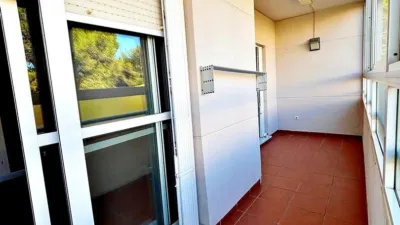 Apartment in the Northeast photo 12