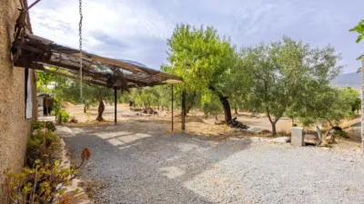 Rustic finca on Abrucena Street photo 16