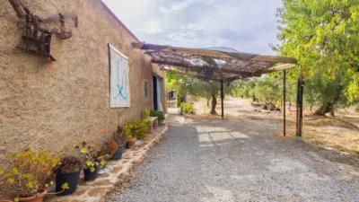 Rustic finca on Abrucena Street photo 15